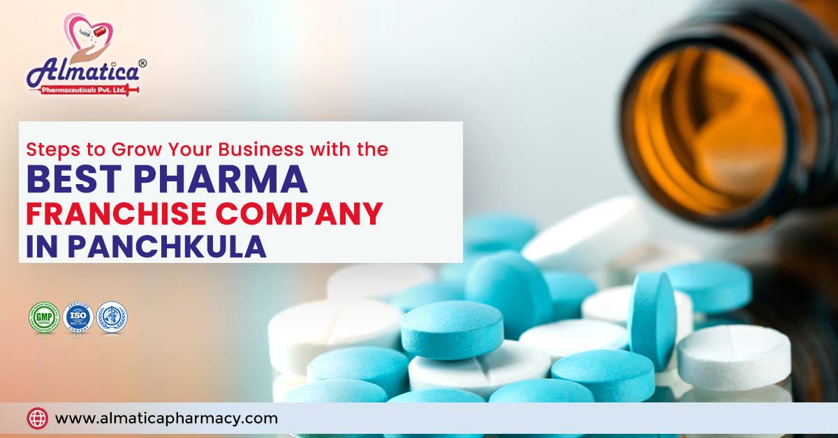 Steps to grow your business with the best pharma franchise company in Panchkula